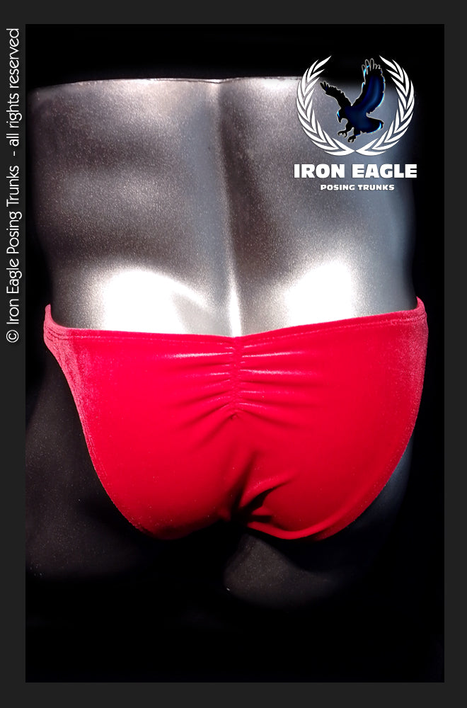 SAMPLE SALE - Red Velvet (Premier/L)