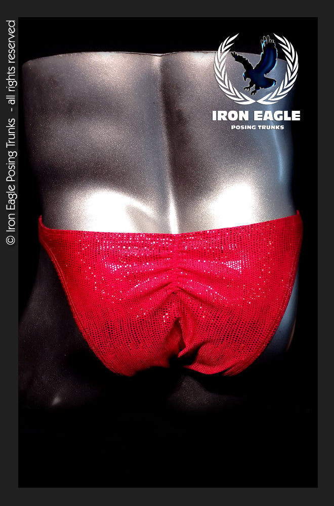 SAMPLE SALE - Red Dazzle Mystique (Premier/M)